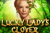 Lucky Lady`s Clover 